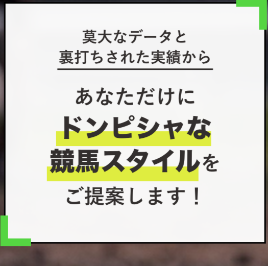 ドンピシャ！｜【ゼロから始める】競艇・ボートレース・競馬・競輪の予想販売の特選サイト集【レーコレ】