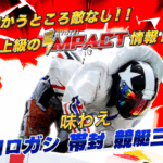 競艇IMPACT｜★レーコレ★【競艇予想｜競馬予想｜競輪予想】の参考になるギャラリーサイト集