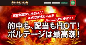 バーニング|★レーコレ★【競艇予想|競馬予想|競輪予想】の参考になるギャラリーサイト集